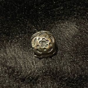 Pandora charm